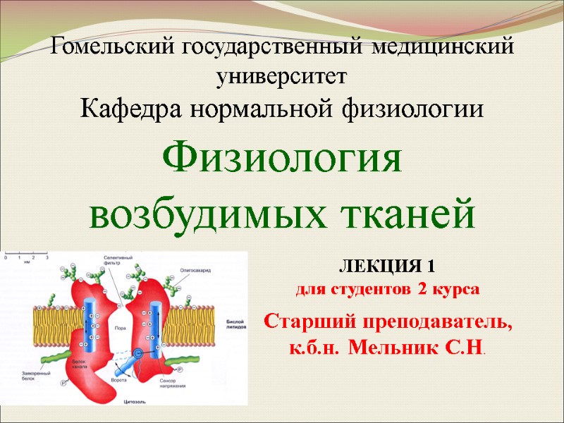 Старший преподаватель, к.б.н. Мельник С.Н.   ЛЕКЦИЯ 1  для студентов 2 курса